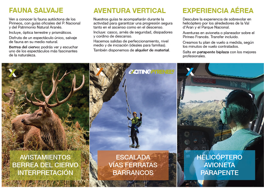 Actividades Otoño