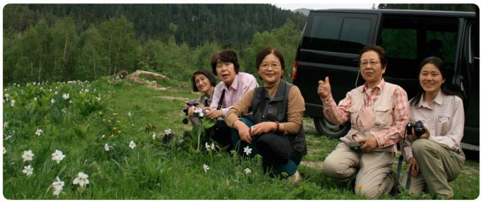 Vans Tours 4x4
