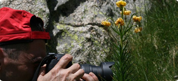safari, flora, fauna, fotografia, val d'Aran, Valle de Aran