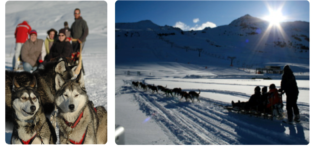 trineo tira por perros, mushing, musher, val d'aran